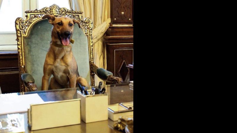 “Balcarce” en el sillón de Rivadavia es tendencia en las redes sociales