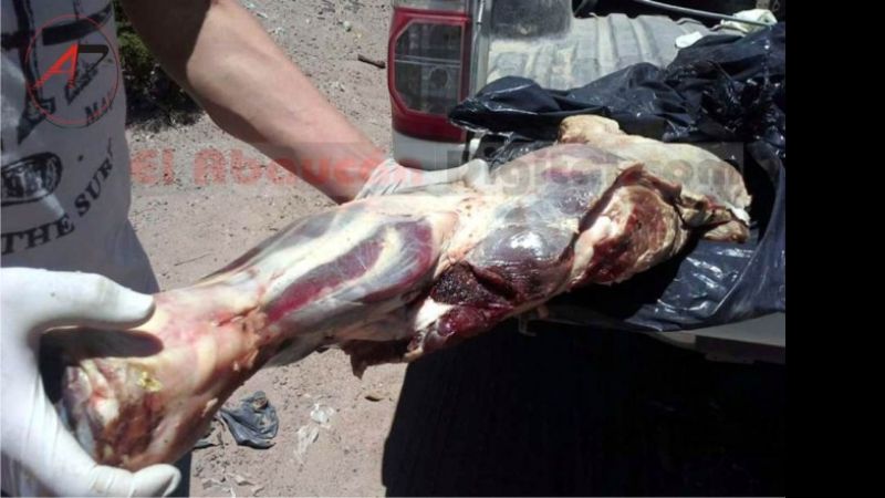 Fiambalá: Decomisan carne y pescado en mal estado