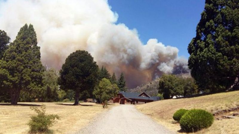 Incendio intencional en el Parque Nacional Los Alerces en Chubut