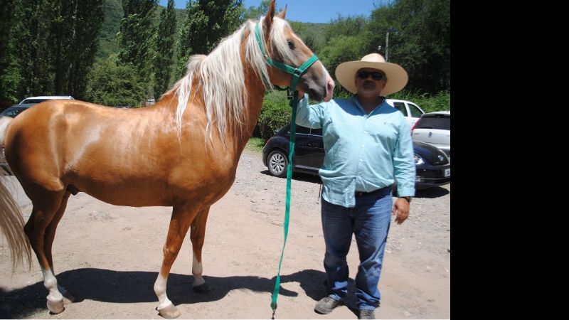 La  “Cabalgata ‘Beto’ Natella” fue un auténtico acontecimiento social