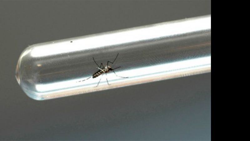 El dengue "dejó de ser un brote para pasar a ser una epidemia"