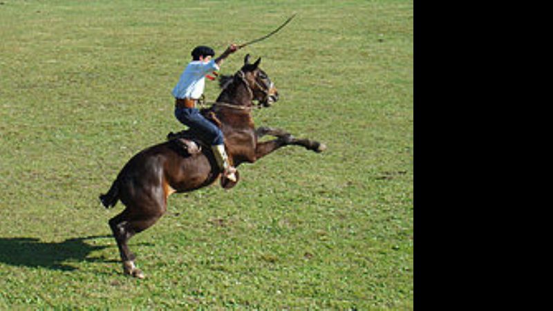 Postergan festival de doma en Santa María