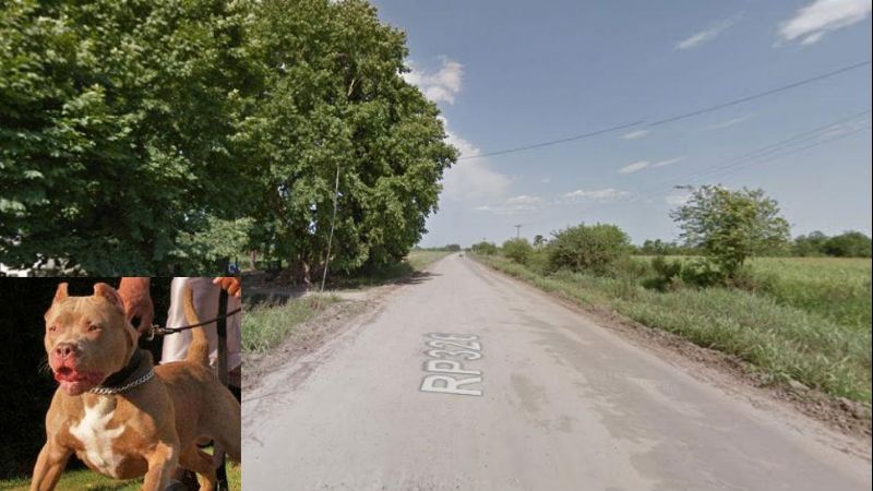 Una mujer de 67 años murió tras ser atacada por un Pitbull‏