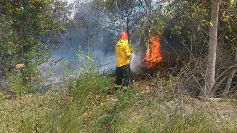 Combaten incendios forestales