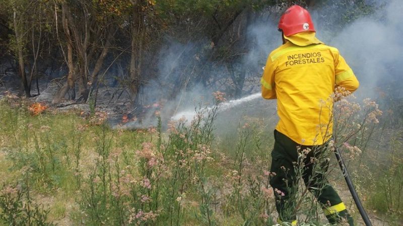 Combaten incendios forestales