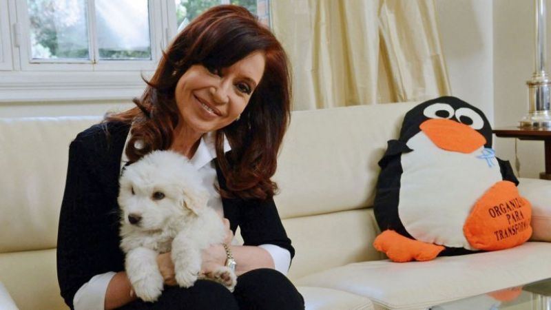 Cristina pidió “transformar el enojo en organización y acción”