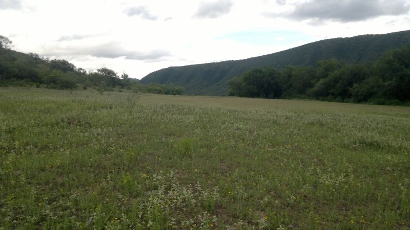 Inician la construcción de la casa de rehabilitación de jóvenes con adicciones