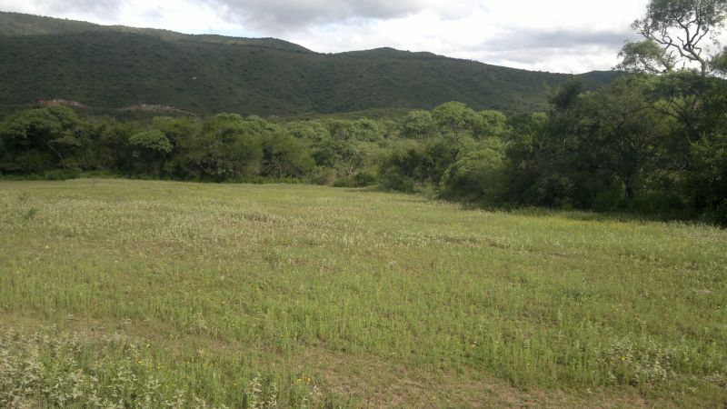 Inician la construcción de la casa de rehabilitación de jóvenes con adicciones