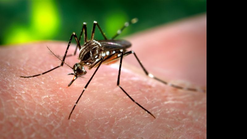 Confirman primer caso de dengue en Catamarca en 2016