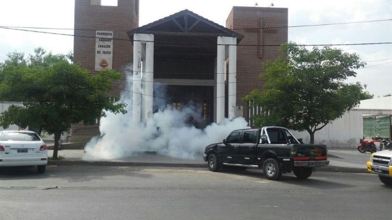 Invasión de abejas en una parroquia
