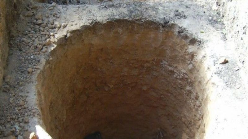 Un caballo cayó en un pozo ciego, estuvo por más de 7 horas y murió