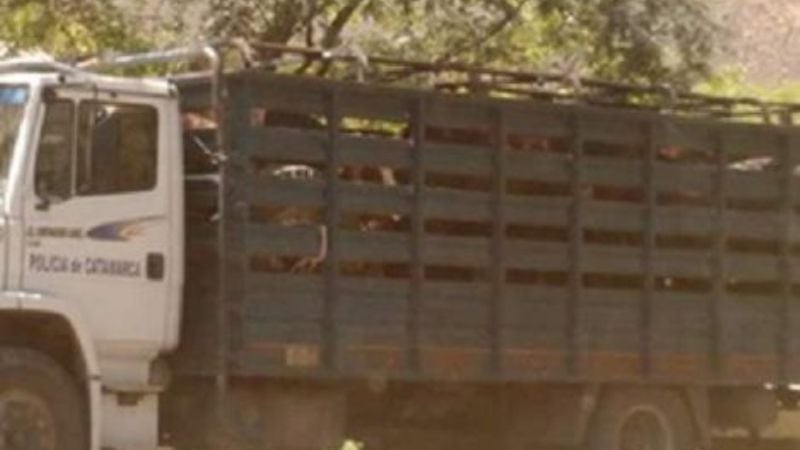 Maltrato animal en la ruta 46