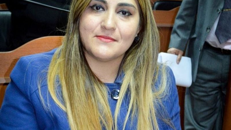 Piden por la paridad e igualdad de género en cargos electivos y de partidos políticos