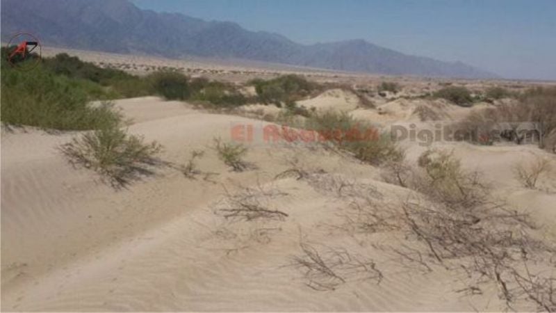 En Fiambalá buscan detener el avance de los médanos