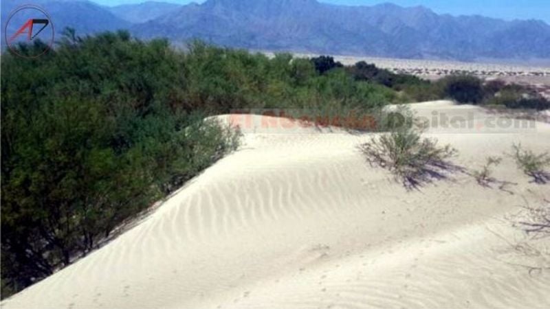 En Fiambalá buscan detener el avance de los médanos