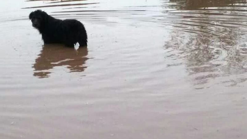 Volvió la lluvia y los problemas