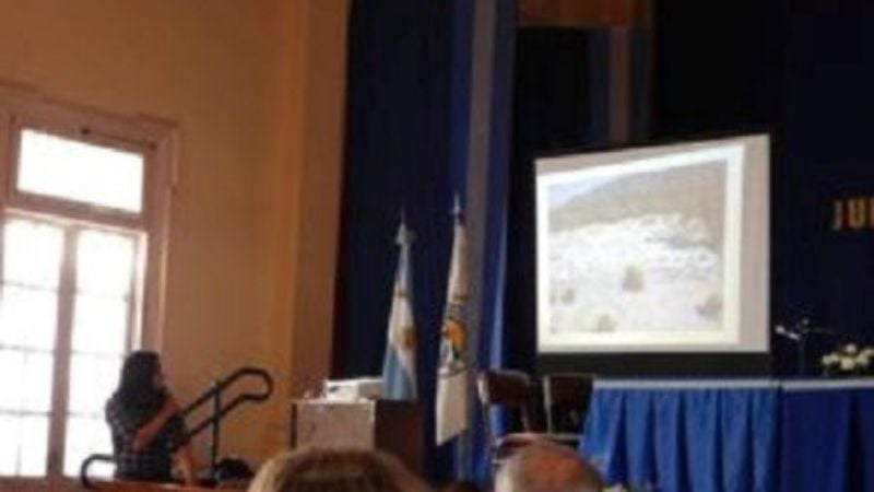 Presentación del alambre carril