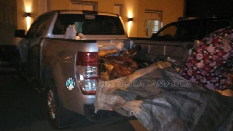 Cinco aprehendidos con un animal faenado, arma y cartuchos secuestrados