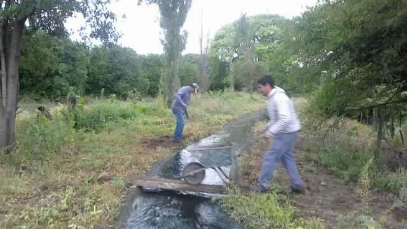 Trabajos de mantenimiento en los sistemas de riego del interior