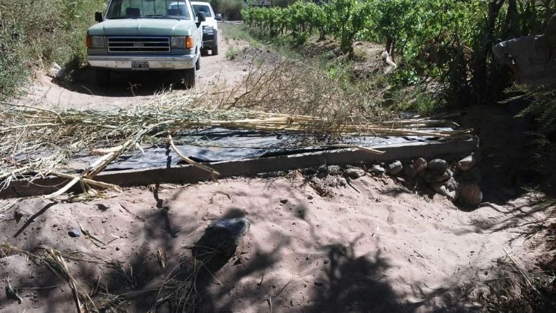 Trabajos de mantenimiento en los sistemas de riego del interior