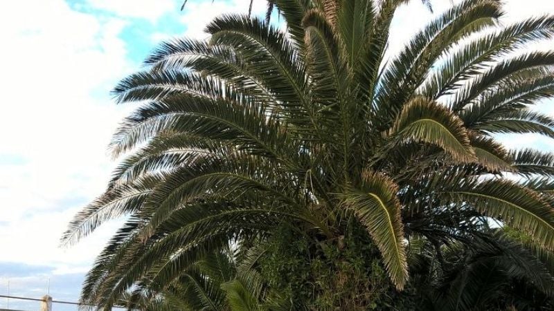 Juegos Nacionales Evita: Los Teros le ganaron a Tierra del Fuego