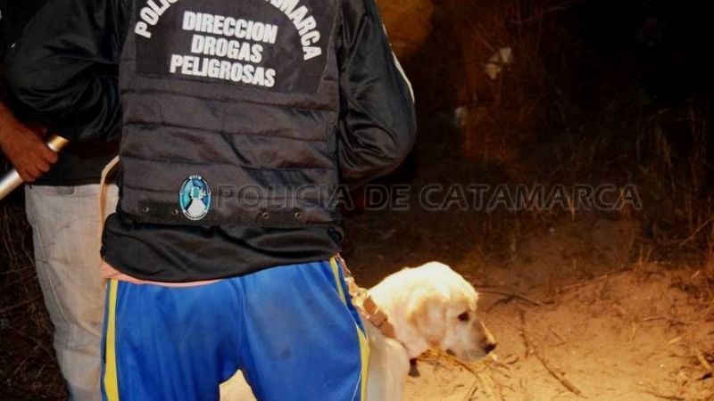 Incautaron 30 kilos de marihuana y medio kilo de pasta base de cocaína