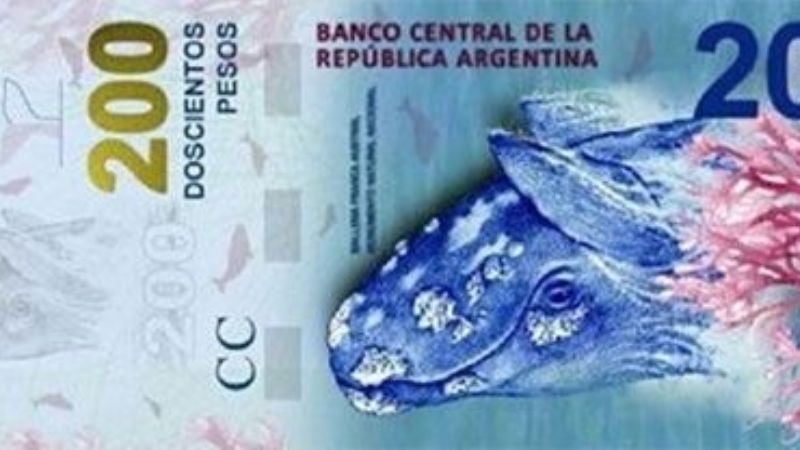 Con la llegada del de $ 200, hay 13 modelos de billetes en circulación