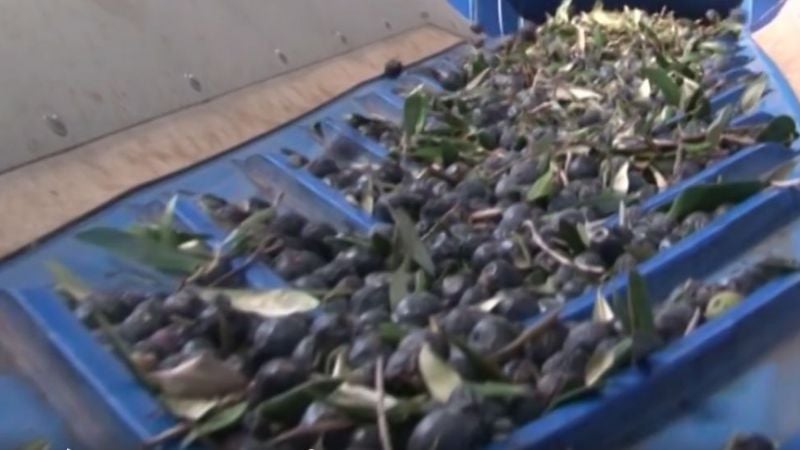 Destacan a la UNCA por vinculación con sectores productivos