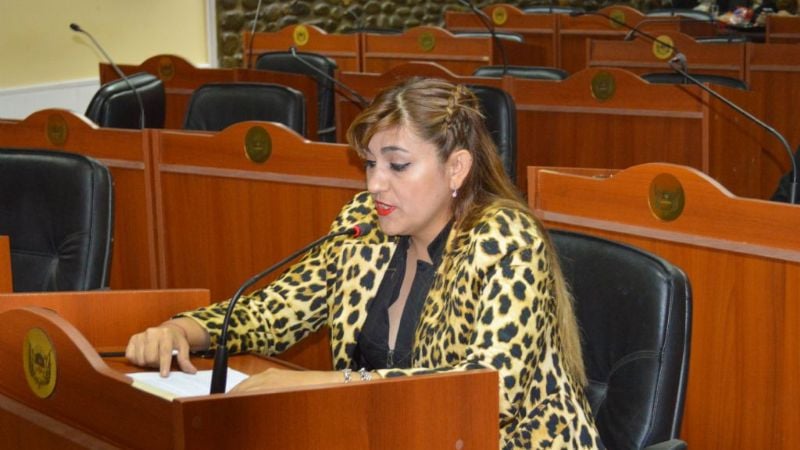 Sanción definitiva a la ley que prohíbe bordados en uniformes escolares