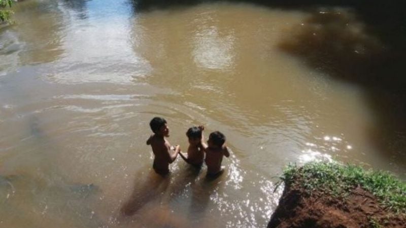 Chicos de Misiones deben cruzar un arroyo nadando para llegar a su escuela