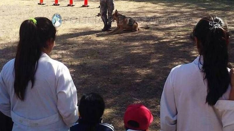 Exhibición de canes en una Escuela de Capayán