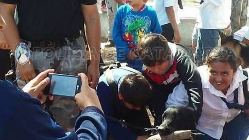 Exhibición de canes en una Escuela de Capayán
