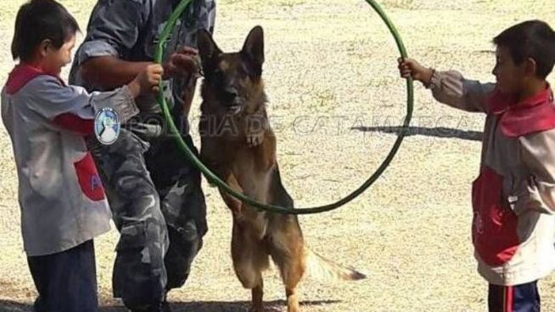 Exhibición de canes en una Escuela de Capayán