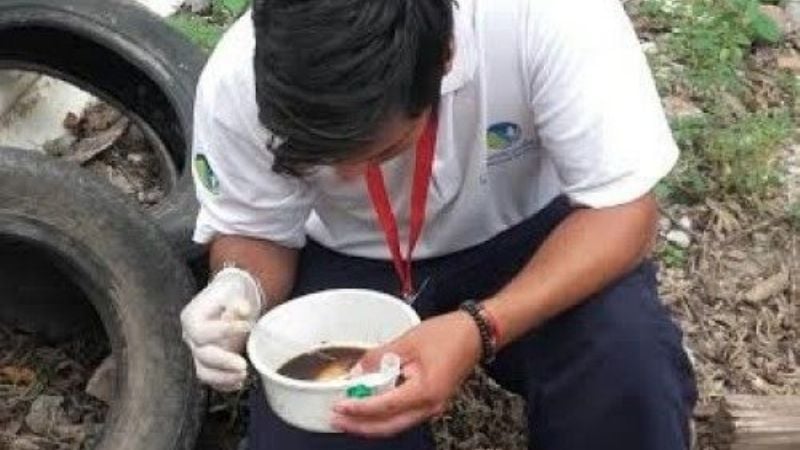 Refuerzan la campaña "Mosquito Cero"