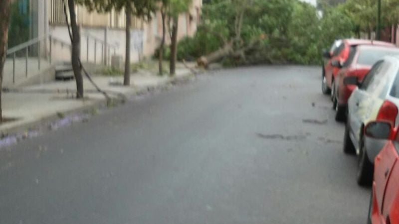 Las fotos del desastre