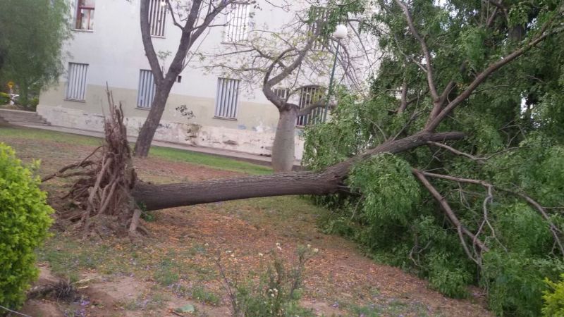 Las fotos del desastre