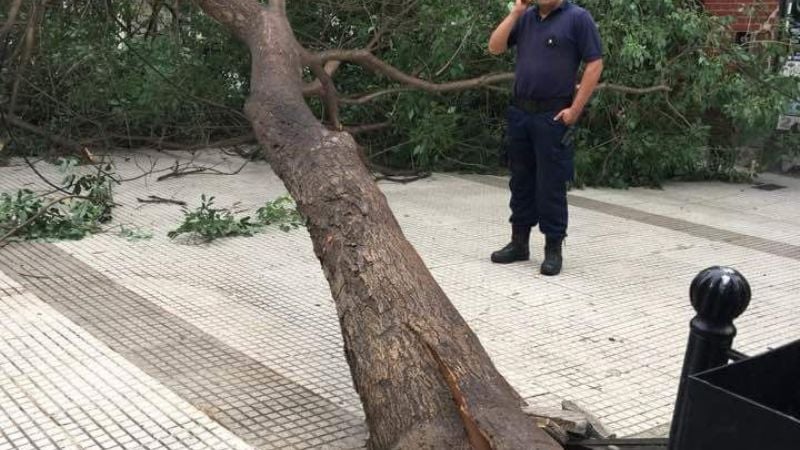 Las fotos del desastre