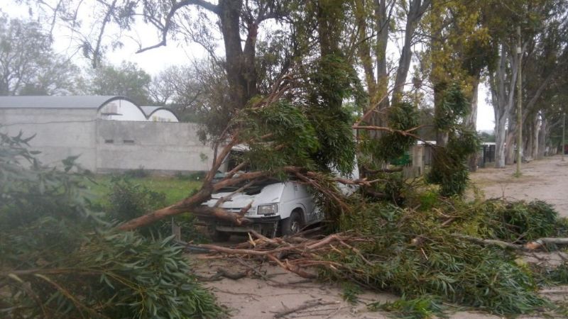 Las fotos del desastre