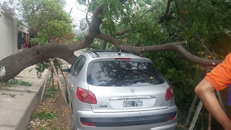 Las fotos del desastre