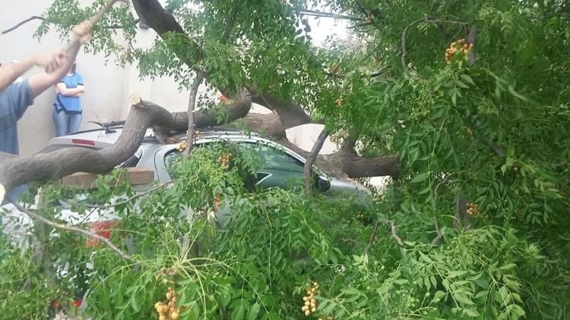 Las fotos del desastre