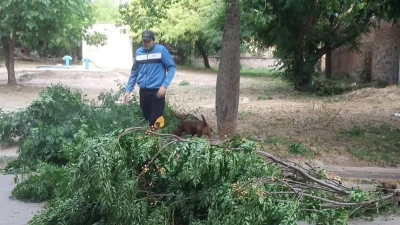 Las fotos del desastre