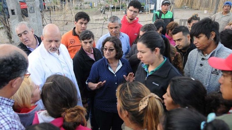 El temporal dejó más de 300 árboles en el piso