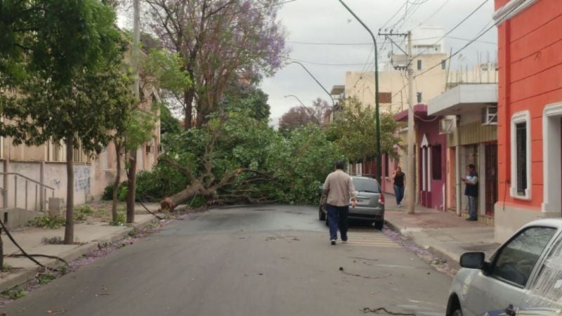 Convocan a voluntarios y conforman brigadas de ayuda