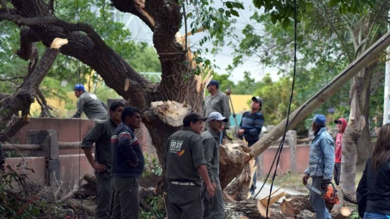 Iniciaron plan de contingencia municipal en FME