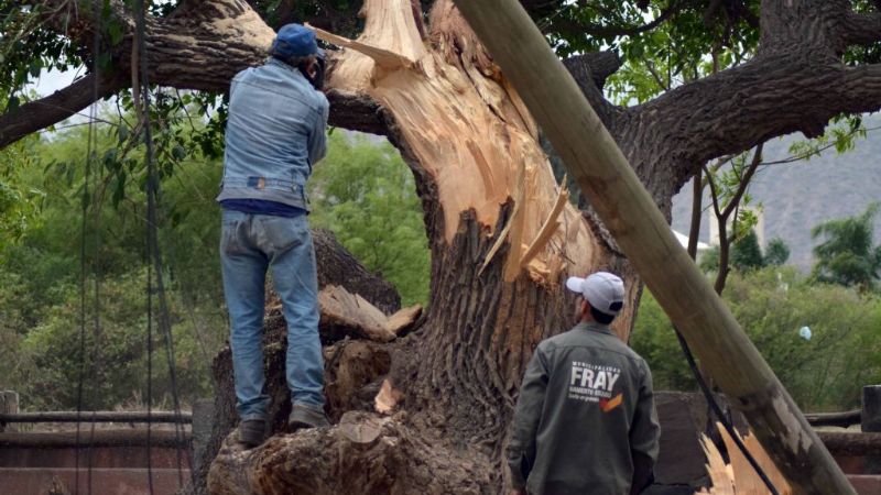 Iniciaron plan de contingencia municipal en FME