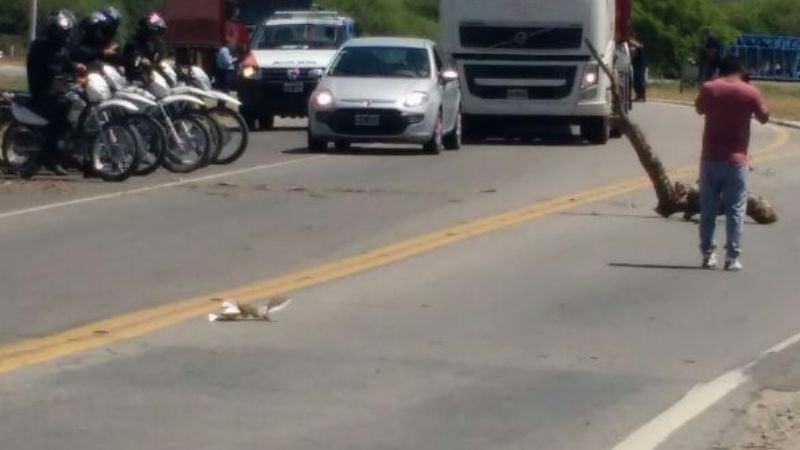 Municipales siguen con la protesta porque Jalile no quiere negociar