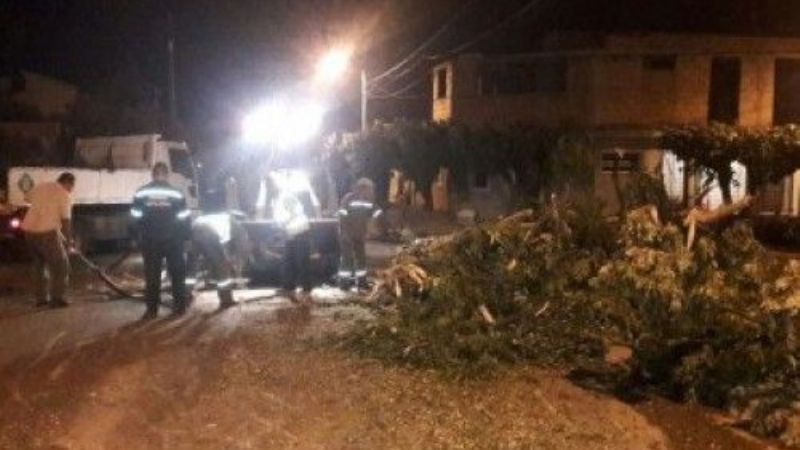 Trabajos tras el temporal
