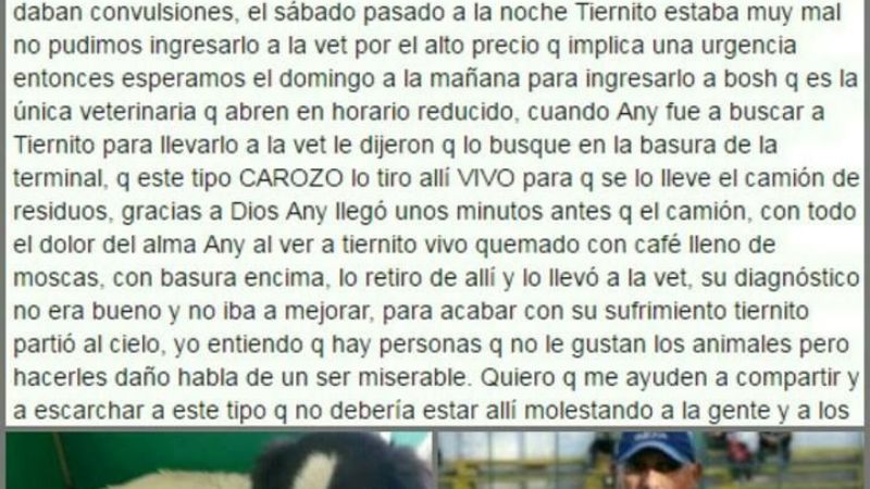 Prohiben a "Carozo" ingresar a la Terminal