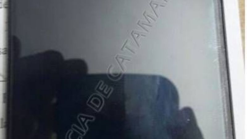 Arrebató un celular y fue aprehendido