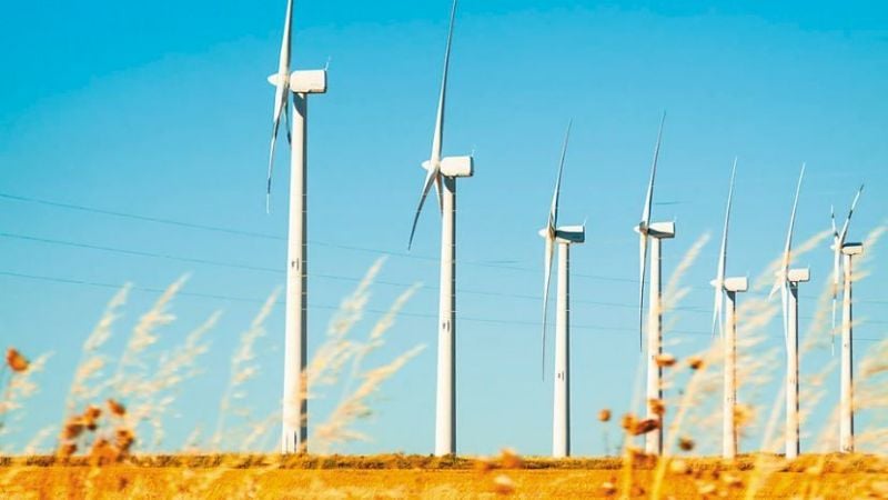 Energías renovables: eligen cerca de 20 proyectos